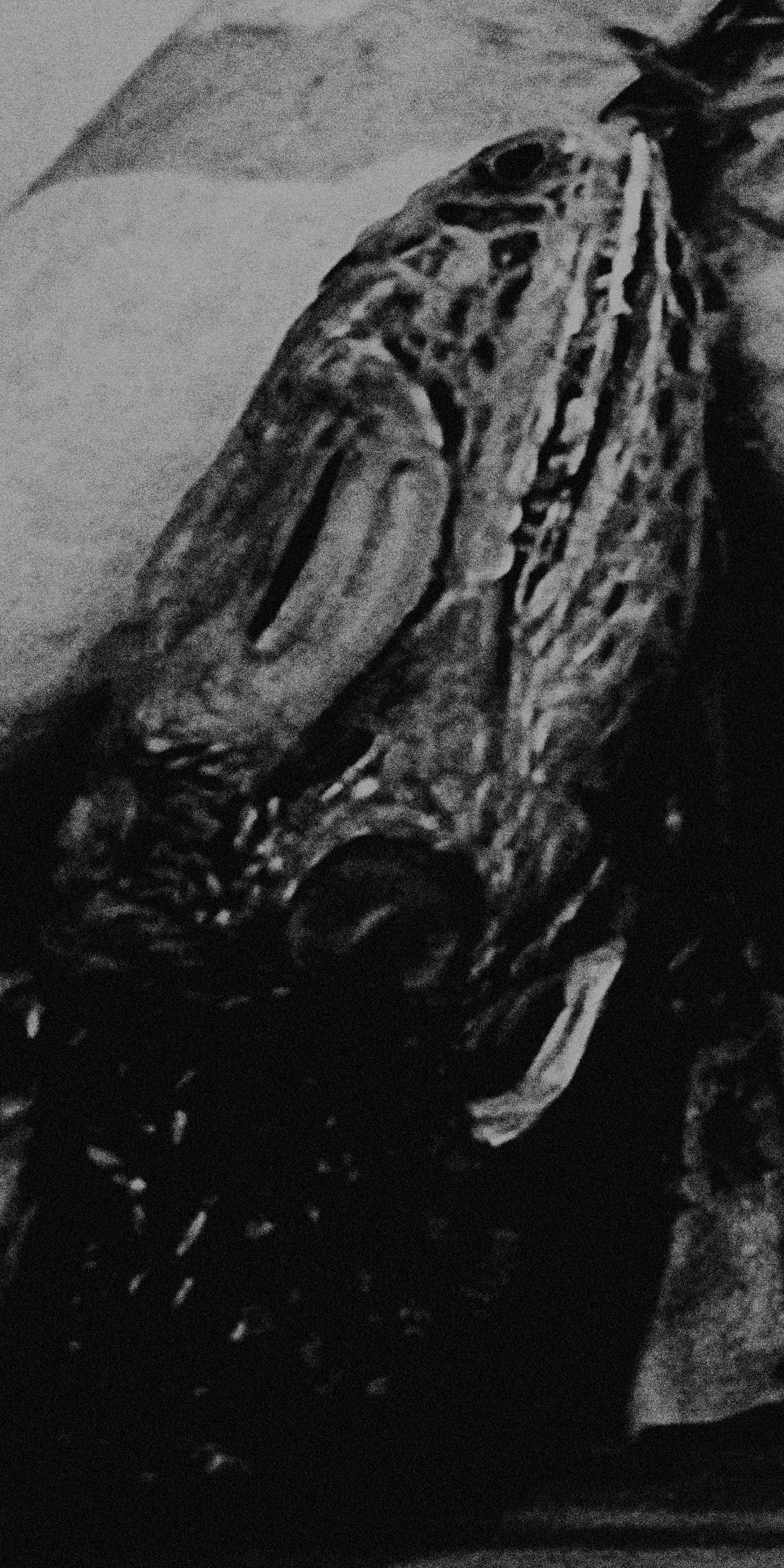 Masquerade — Bastardane